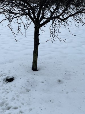 IMG_9429.JPEG