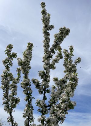 IMG_7363.jpeg