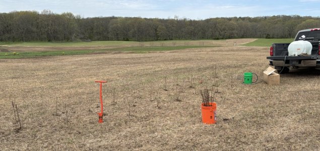 shrub planting.jpg