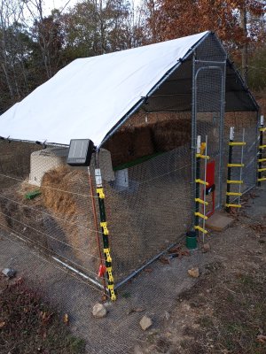 2023 Duck Pen.jpg