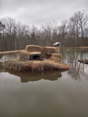 Island&Pen Nests.jpg