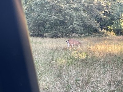 IMG_1409.jpeg
