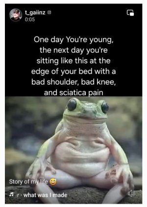 One day your young....jpeg