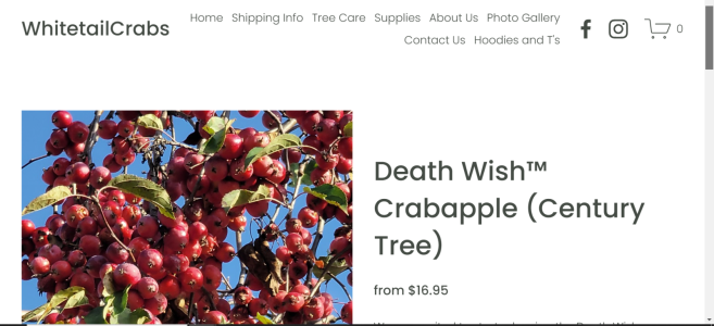 Screenshot (245).png