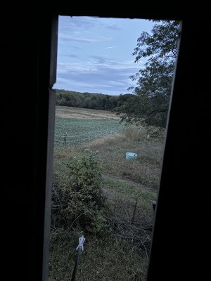 IMG_1122.jpeg