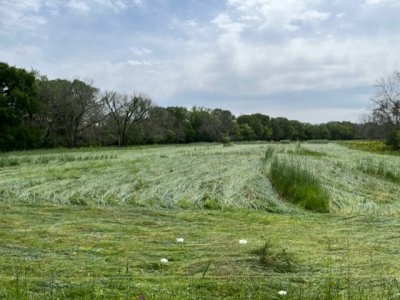 crimped rye.jpeg crimped rye.jpeg