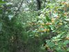 IMG_8180.JPG
