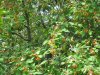 IMG_8181.JPG