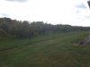 orchard.JPG orchard.JPG