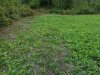 DSCN0062.JPG
