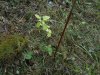 DSCN0175.JPG