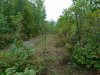 DSCN0185.JPG