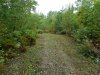 DSCN0188.JPG