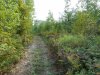 DSCN0164.JPG