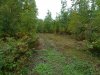 DSCN0186.JPG