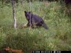 water hole september 7.2015 2015-08-20 001.JPG