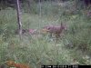 water hole september 7.2015 2015-08-13 001.JPG