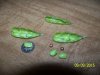 103_2962.JPG