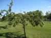 IMG_2916.JPG