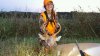 20150911_194525.jpg