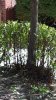 20150916_142048.jpg