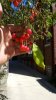 20150916_142115.jpg