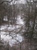 IMG_9239.JPG