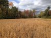 IMG_0904.JPG