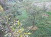 DSCN2935.JPG