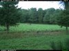 2015-09-07 19-08-00 T.JPG 2015-09-07 19-08-00 T.JPG