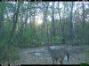 2015-10-16 08-00-56 M 1_3.JPG