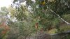 20151020_124927.jpg