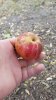 20151021_173155.jpg