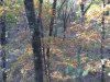 102615 the shot.jpg