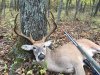 102615 buck.jpg