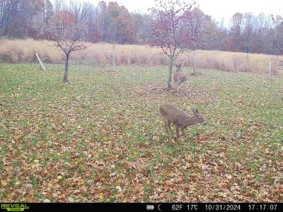 868032066803291-100-3-10312024203310-HD-SYFW1412.JPG