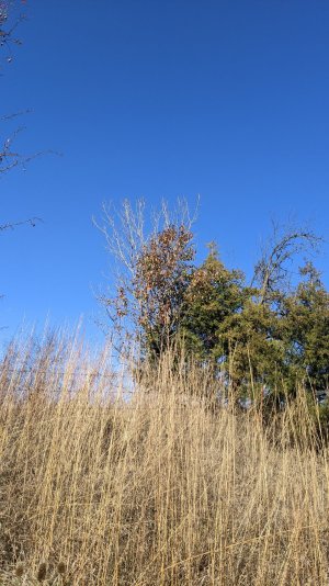 PXL_20241111_164800687.jpg