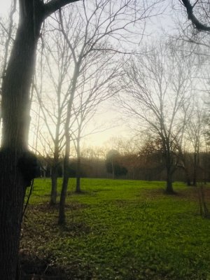IMG_5620.jpeg