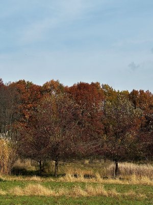 IMG_5803.jpg