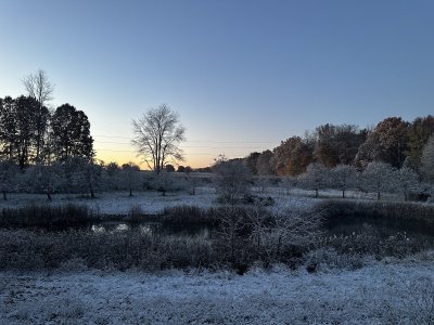 IMG_2120 2.jpg