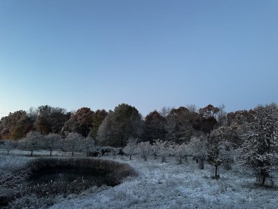 IMG_2121.jpg