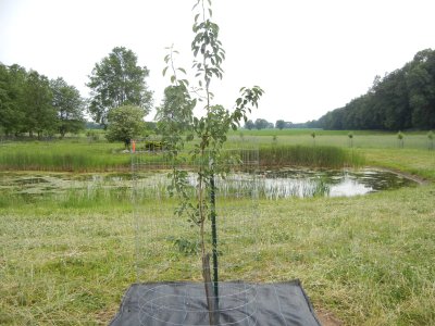 DSCN2535.jpg