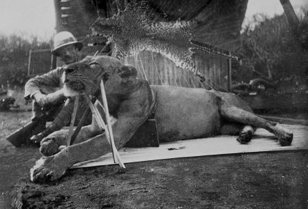Patterson With Lion.jpg