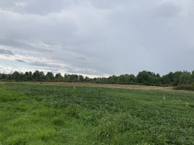 IMG_3893.jpeg