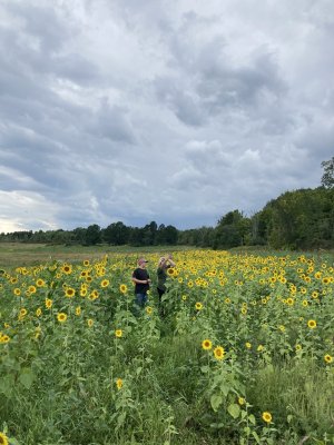 IMG_3884.jpeg