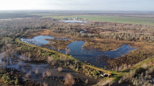 dji_fly_20241222_085130_42_1734884830324_photo_optimized.jpeg