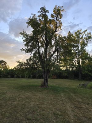 1000005702.jpg 1000005702.jpg