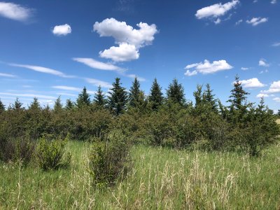 IMG_6277.jpeg