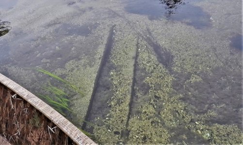 Wacissa Dugout Canoe.jpg