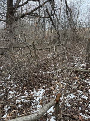 IMG_7796.jpeg